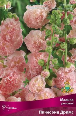 Мальва розовая Пичес энд Дримс/К  в интернет гипермаркете «Планета Лета». Фото Мальва розовая Пичес энд Дримс/К в интернет гипермаркете «Планета Лета». Фото