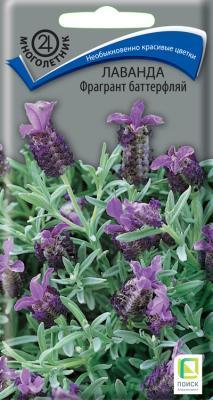 Лаванда Фрагрант баттерфляй (ЦВ) ("М) 20шт. в интернет гипермаркете «Планета Лета». Фото