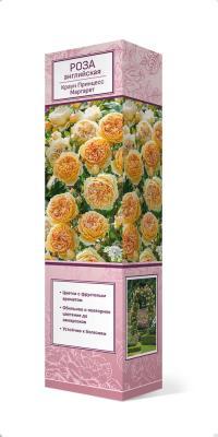 Роза английская парковая Краун Принцесс Маргарет Люкс П в интернет гипермаркете «Планета Лета». Фото