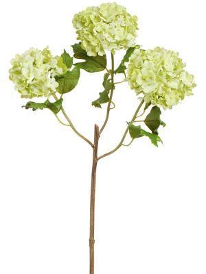 Калина Бульдонеж Вибурнум св.зеленая ветка 3 соцветия в-55 см 12/96 30.11170007GR в интернет гипермаркете «Планета Лета». Фото