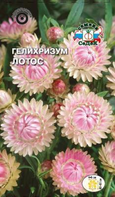 Гелихризум Лотос 0,2 гр в интернет гипермаркете «Планета Лета». Фото