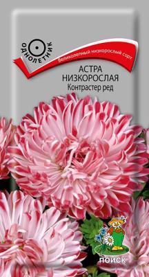 Астра низкорослая Контрастер Ред (ЦВ) 0,1гр. в интернет гипермаркете «Планета Лета». Фото