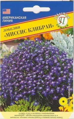 Лобелия Миссис Клибран в интернет гипермаркете «Планета Лета». Фото