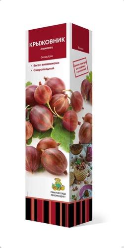 Крыжовник Садко П в интернет гипермаркете «Планета Лета». Фото