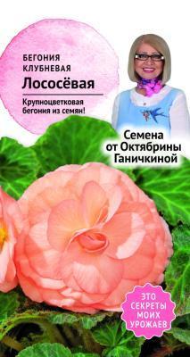 Бегония клубневая Лососевая 6 шт Ганичкина в интернет гипермаркете «Планета Лета». Фото