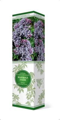 Сирень обыкновенная Маршал Конев/ЦКор в интернет гипермаркете «Планета Лета». Фото