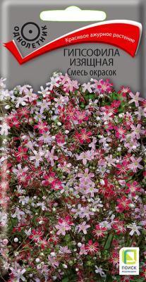 Гипсофила изящная Смесь окрасок (ЦВ) ("1) 0,2гр. в интернет гипермаркете «Планета Лета». Фото