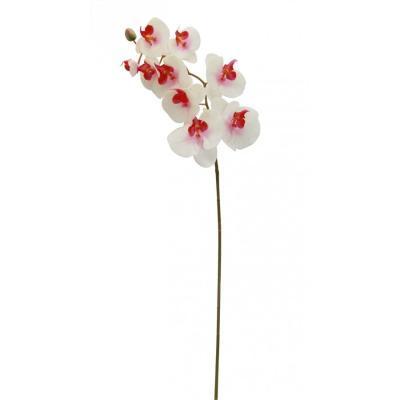 Цветок искусственный "Орхидея" (силиконовое покрытL15 W10 H80 см в интернет гипермаркете «Планета Лета». Фото