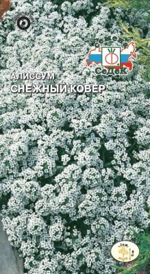 Алиссум Снежный ковер 0,1 гр в интернет гипермаркете «Планета Лета». Фото