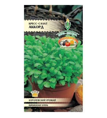 Кресс-салат Аккорд