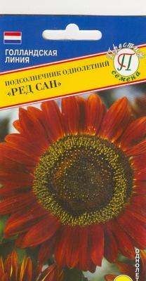 Подсолнечник однолетний Ред сан в интернет гипермаркете «Планета Лета». Фото