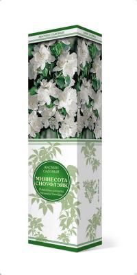 Жасмин садовый (чубушник) Миннесота Сноуфлэйк П в интернет гипермаркете «Планета Лета». Фото