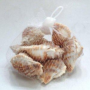 Ракушки набор 150гр A-088 в интернет гипермаркете «Планета Лета». Фото