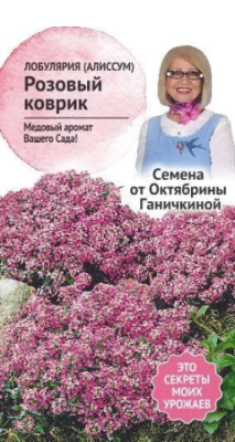 Алиссум Розовый коврик 0,1г Ганичкина в интернет гипермаркете «Планета Лета». Фото