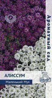 Алиссум Маленький Мук (ЦВ) (Ароматный сад "1) 0,3гр в интернет гипермаркете «Планета Лета». Фото