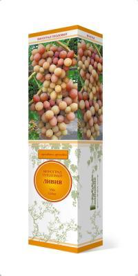 Виноград плодовый Ливия П в интернет гипермаркете «Планета Лета». Фото