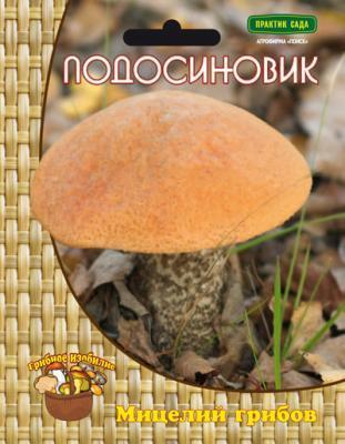 Подосиновик 430690 в интернет гипермаркете «Планета Лета». Фото