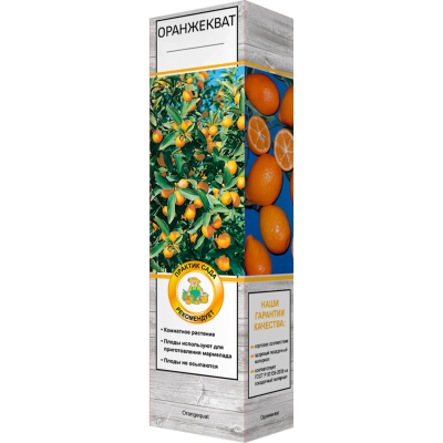 Цитрус Оранжекват П в интернет гипермаркете «Планета Лета». Фото