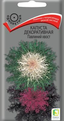 Капуста декоративная Павлиний хвост (ЦВ) (1") 7шт. в интернет гипермаркете «Планета Лета». Фото
