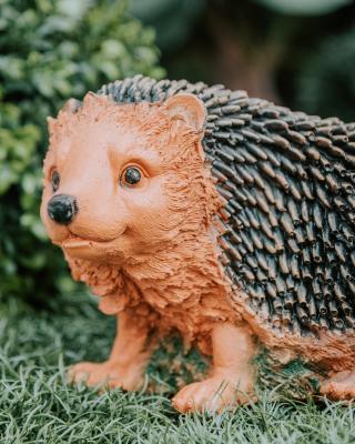 Фигура Еж прижатый большой Н-17см в интернет гипермаркете «Планета Лета». Фото