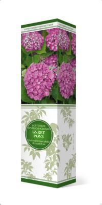 Гортензия крупнолистовая Букет Роуз П в интернет гипермаркете «Планета Лета». Фото