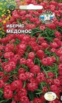 Иберис Медонос зонтичный в интернет гипермаркете «Планета Лета». Фото