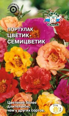 Портулак Цветик-семицветик Евро, 0,1 в интернет гипермаркете «Планета Лета». Фото