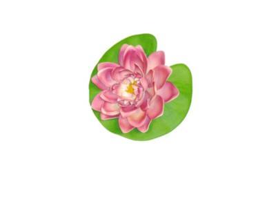 Цветок водоплавающий d-15см LLE11 в интернет гипермаркете «Планета Лета». Фото