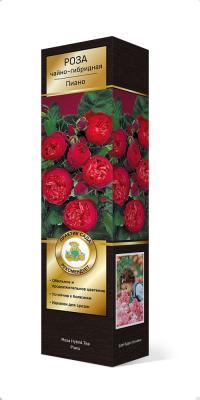 Роза Тантау чайно-гибридная Пиано Люкс П в интернет гипермаркете «Планета Лета». Фото