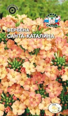 Вербена Санта-Каталина абрикосово-розовая в интернет гипермаркете «Планета Лета». Фото
