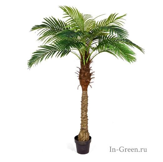 Финиковая пальма Новая в-160 см 14 веток (Sensitive Botanic) 10.071405/5 в интернет гипермаркете «Планета Лета». Фото