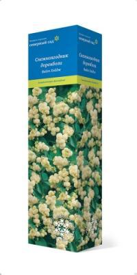 Снежноягодник белый Вайт Хедж С2 Н40 в интернет гипермаркете «Планета Лета». Фото