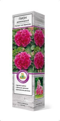Пион древовидный Гигант из Хемозы П в интернет гипермаркете «Планета Лета». Фото