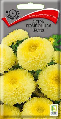 Астра помпонная Желтая (ЦВ) 0,3гр. в интернет гипермаркете «Планета Лета». Фото