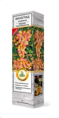 Виноград плодовый Юбилей Новочеркасская П в интернет гипермаркете «Планета Лета». Фото