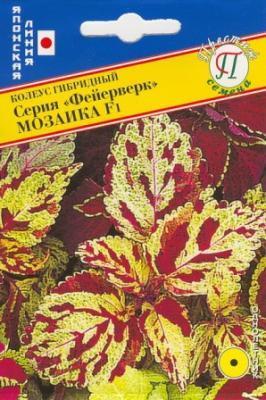 Колеус Фейерверк Мозаика F1 в интернет гипермаркете «Планета Лета». Фото