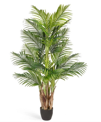 Пальма Арека Бетель в-170 см (Sensitive Botanic) (5 стволов, 24 листа) в интернет гипермаркете «Планета Лета». Фото