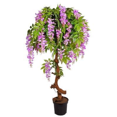 Глициния флорибунда FLORIBUNDA ROSEA штамб, Гор50, Выс150 И в интернет гипермаркете «Планета Лета». Фото