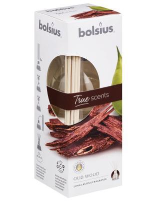 Диффузор 45мл + палочки Алойное дерево в интернет гипермаркете «Планета Лета». Фото