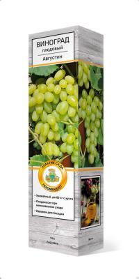 Виноград плодовый Августин П в интернет гипермаркете «Планета Лета». Фото