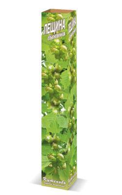 Лещина обыкновенная TORH Бельгия в интернет гипермаркете «Планета Лета». Фото