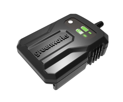 Зарядное устройство 24В (слайдер) GreenWorks 2904307 в интернет гипермаркете «Планета Лета». Фото