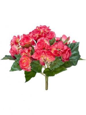 Бегония куст бордово-желтый в-15 см 20.1087B в интернет гипермаркете «Планета Лета». Фото