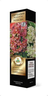 Гортензия метельчатая Пастель Грин/ЦКорЛюкс в интернет гипермаркете «Планета Лета». Фото