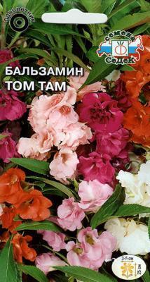 Бальзамин Том Там садовый, смесь цветов в интернет гипермаркете «Планета Лета». Фото