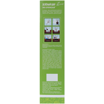 Пион древовидный Зелёный Шар (туба) в интернет гипермаркете «Планета Лета». Фото
