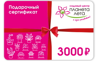 Сертификат 3000 рублей
